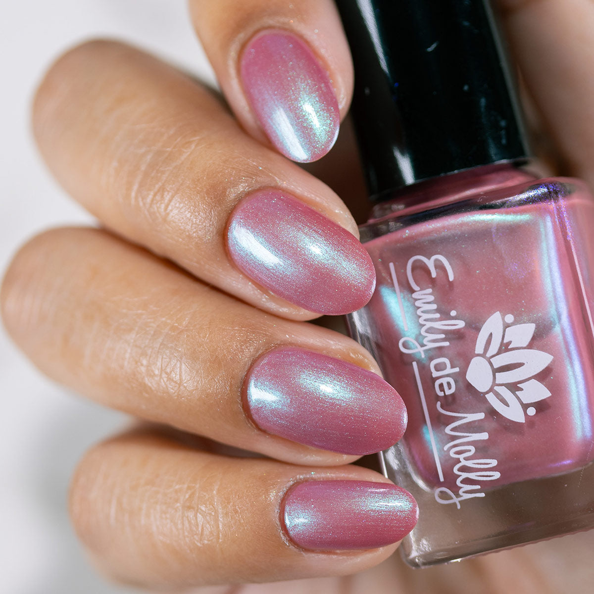 From What You Know image 17