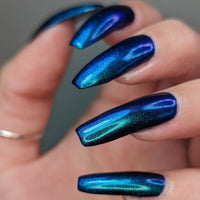 Somebody’s Fool image 24