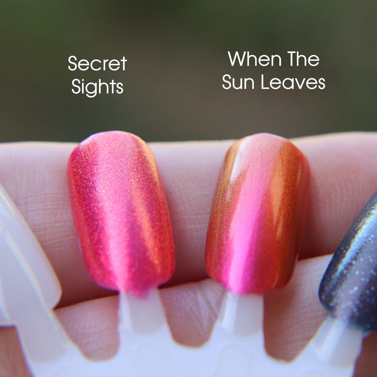 When The Sun Leaves image 26