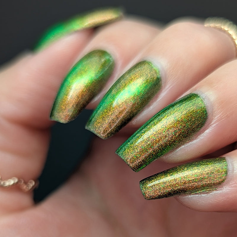 Forest Floor image 22