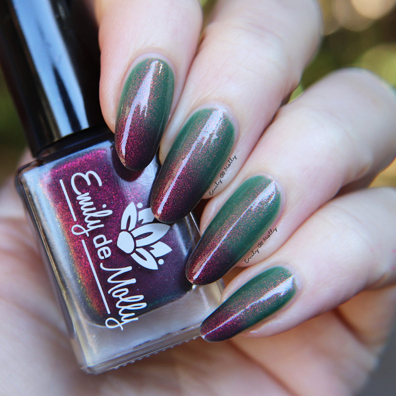 Never Found It image 25