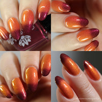 Floyd's Choice - HHC Exclusive - PREORDER