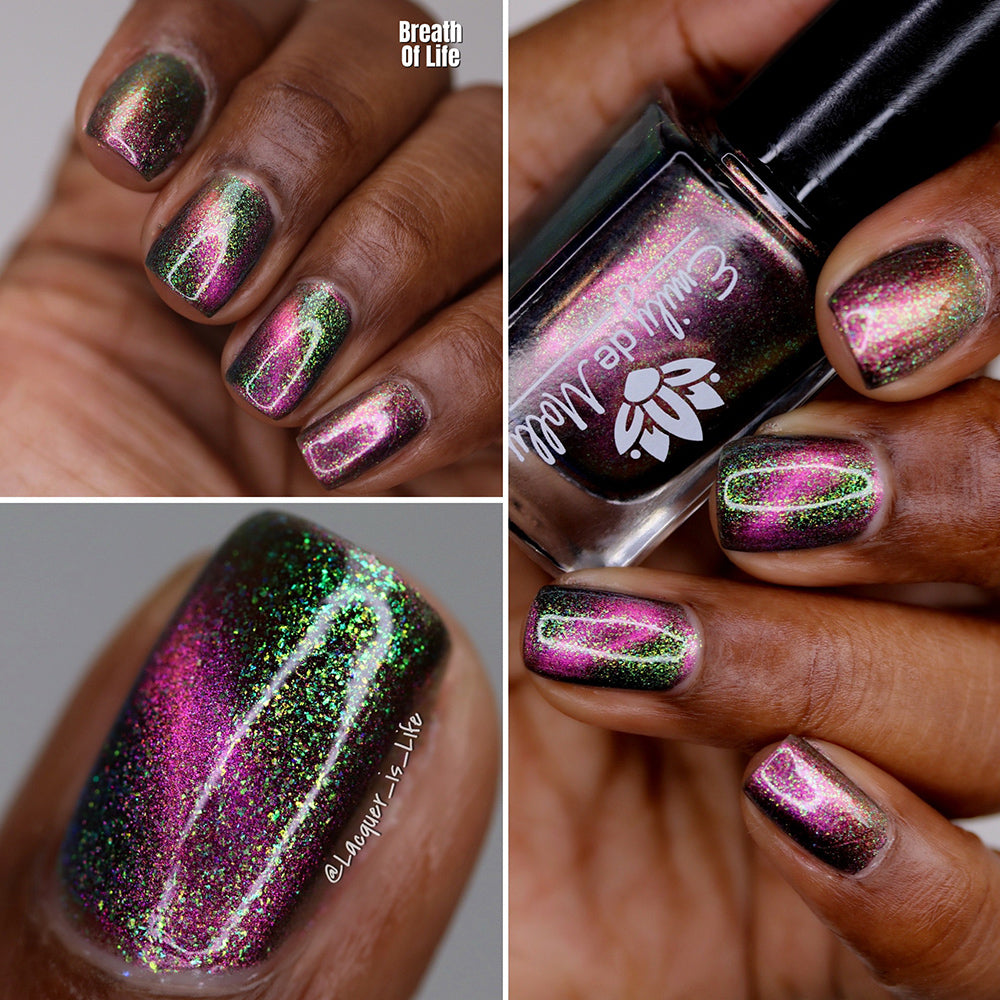 Breath Of Life image 33