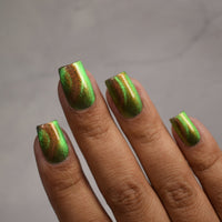 Forest Floor image 13