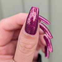 Spotted Vanda - HHC Exclusive - PREORDER