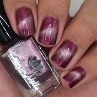 Dreaming Backwards image 23