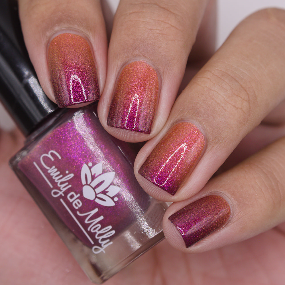 Floyd's Choice - HHC Exclusive - PREORDER