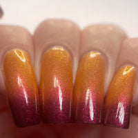 Floyd's Choice - HHC Exclusive - PREORDER