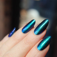 Somebody’s Fool image 21