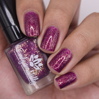 Spotted Vanda - HHC Exclusive - PREORDER