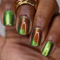 Forest Floor image 15