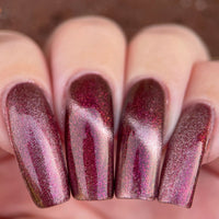 Dreaming Backwards image 15