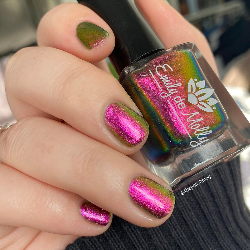 Current Events image 17