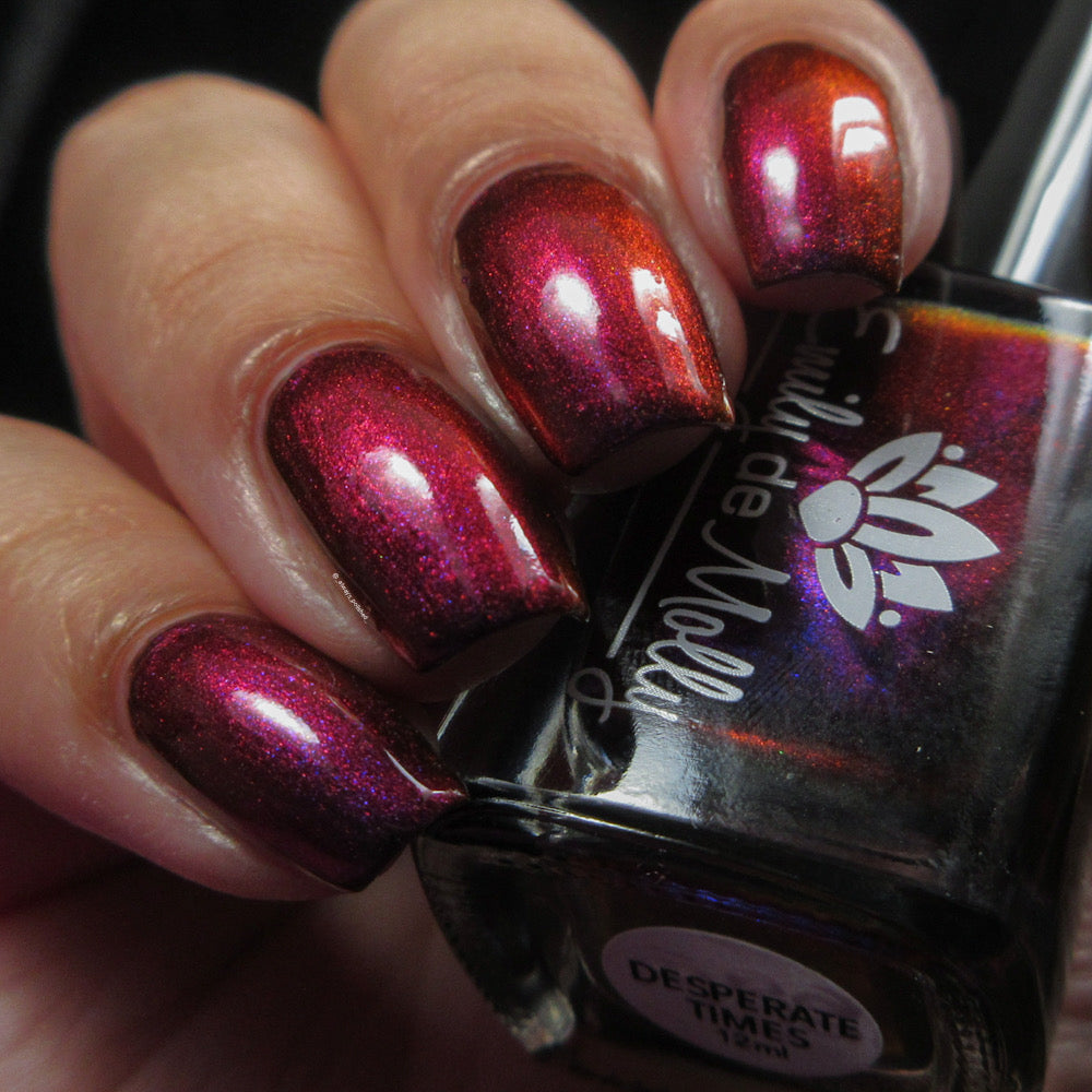 Desperate Times image 10