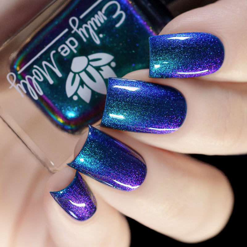 Somebody’s Fool image 6