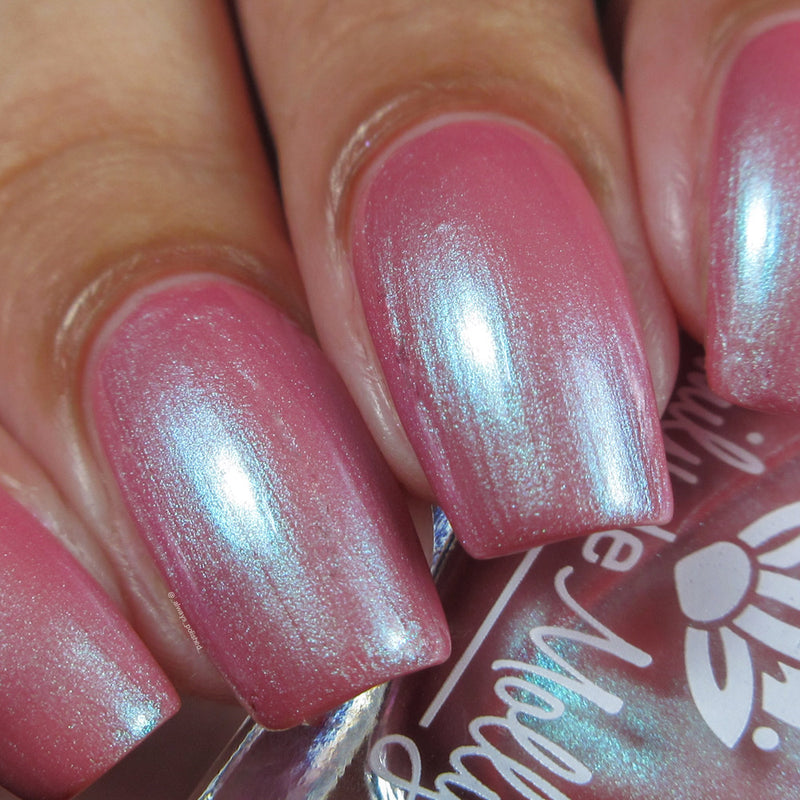 From What You Know image 19