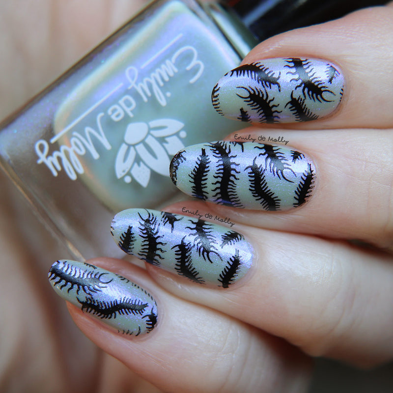 EDM46 Nail Stamping Plate image 2