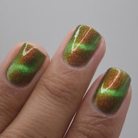 Forest Floor image 29