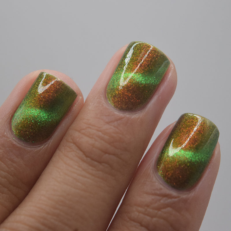 Forest Floor image 29