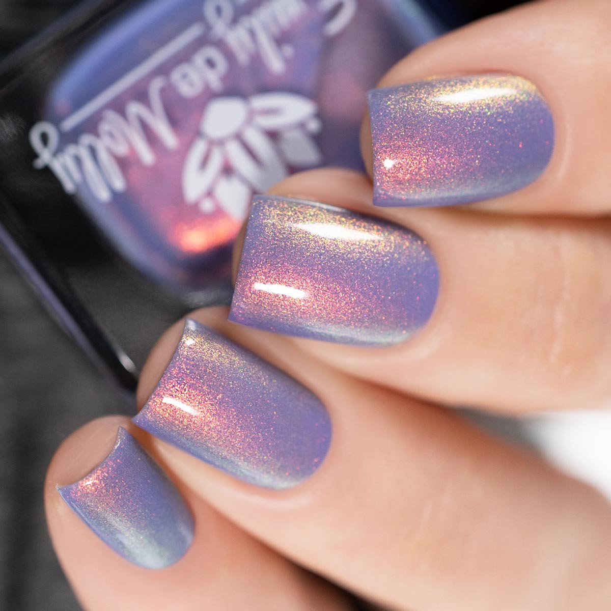 Get In Line image 16