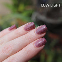 Empire Of Trust image 13