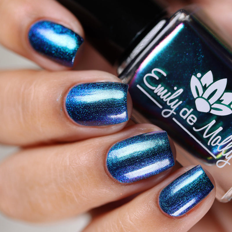 Somebody’s Fool image 13