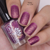 Spotted Vanda - HHC Exclusive - PREORDER