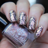 EDM45 Nail Stamping Plate image 3