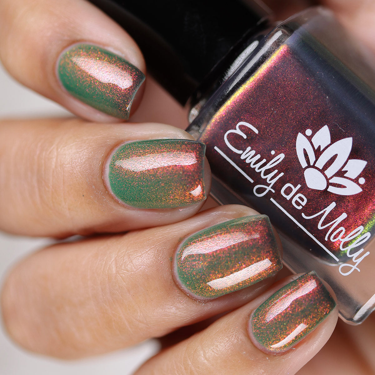 Never Found It image 8