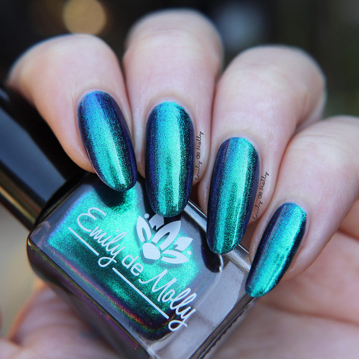 Somebody’s Fool image 23