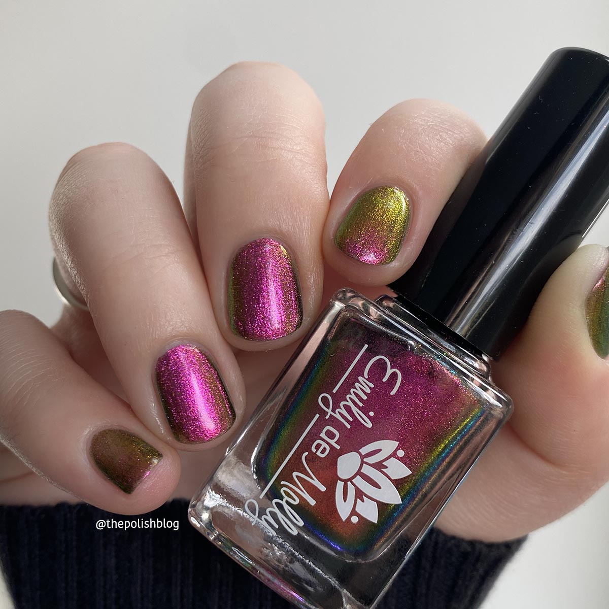 Current Events image 15