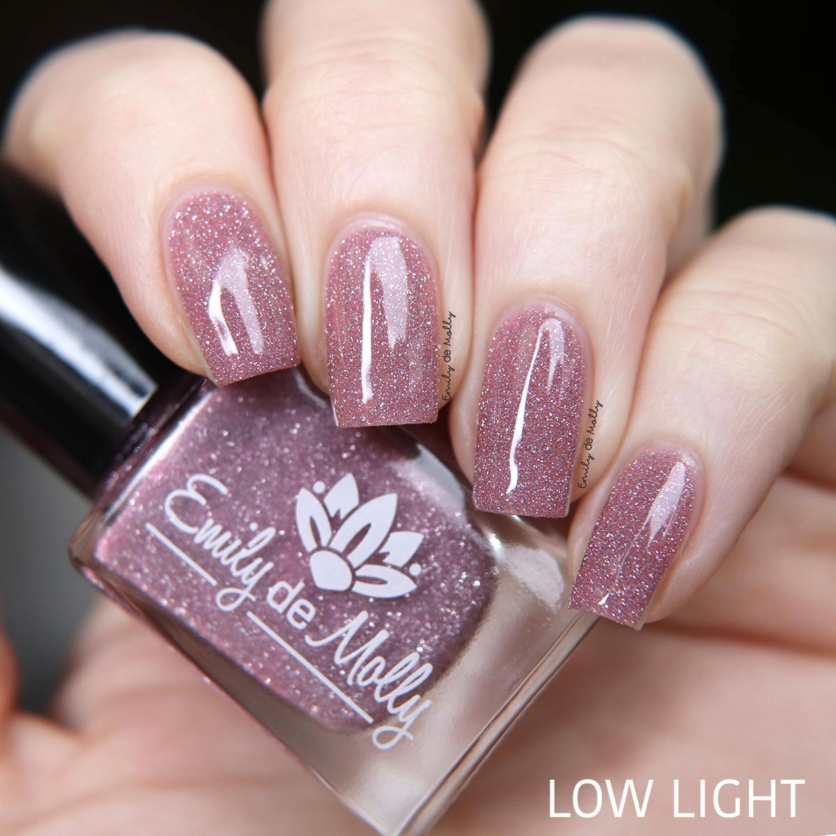 Quiet And Daring image 9