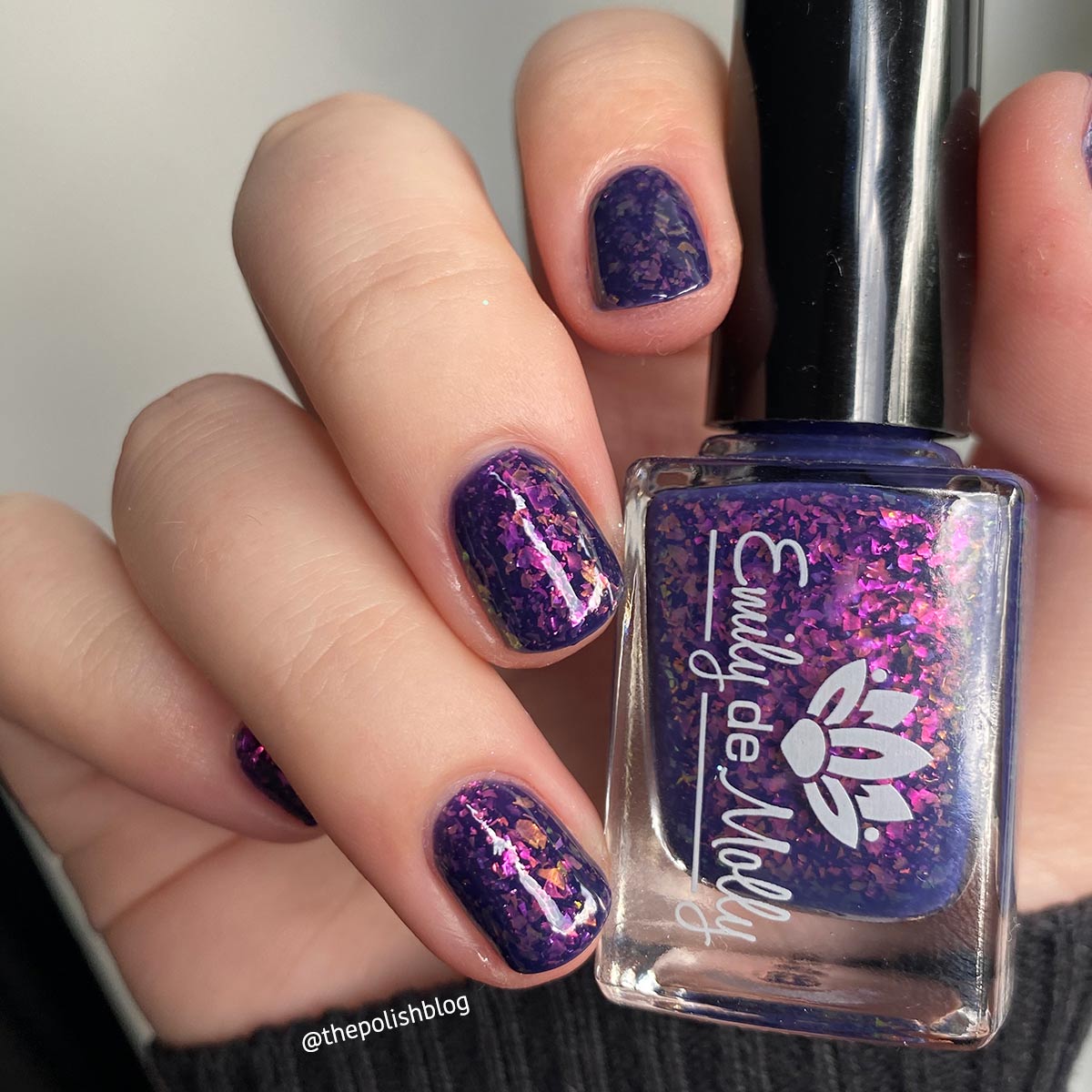 A Spot In The Woods image 23