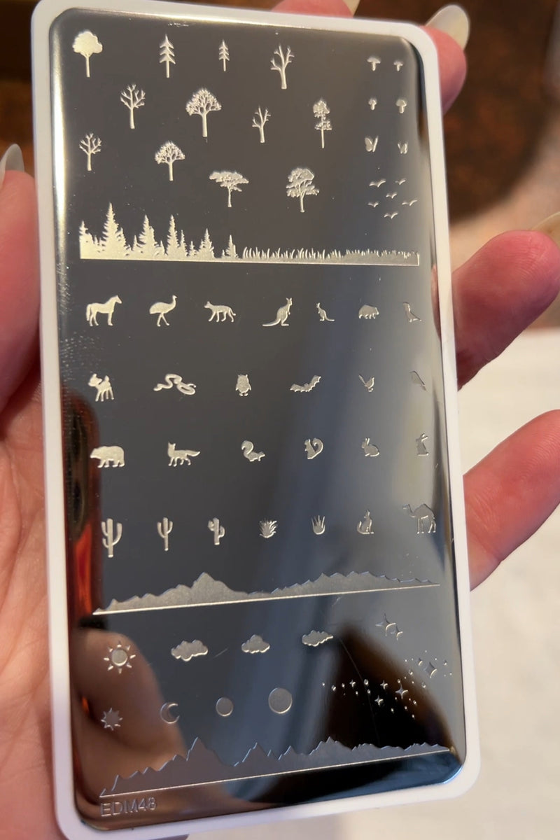 EDM48 Nail Stamping Plate image 1