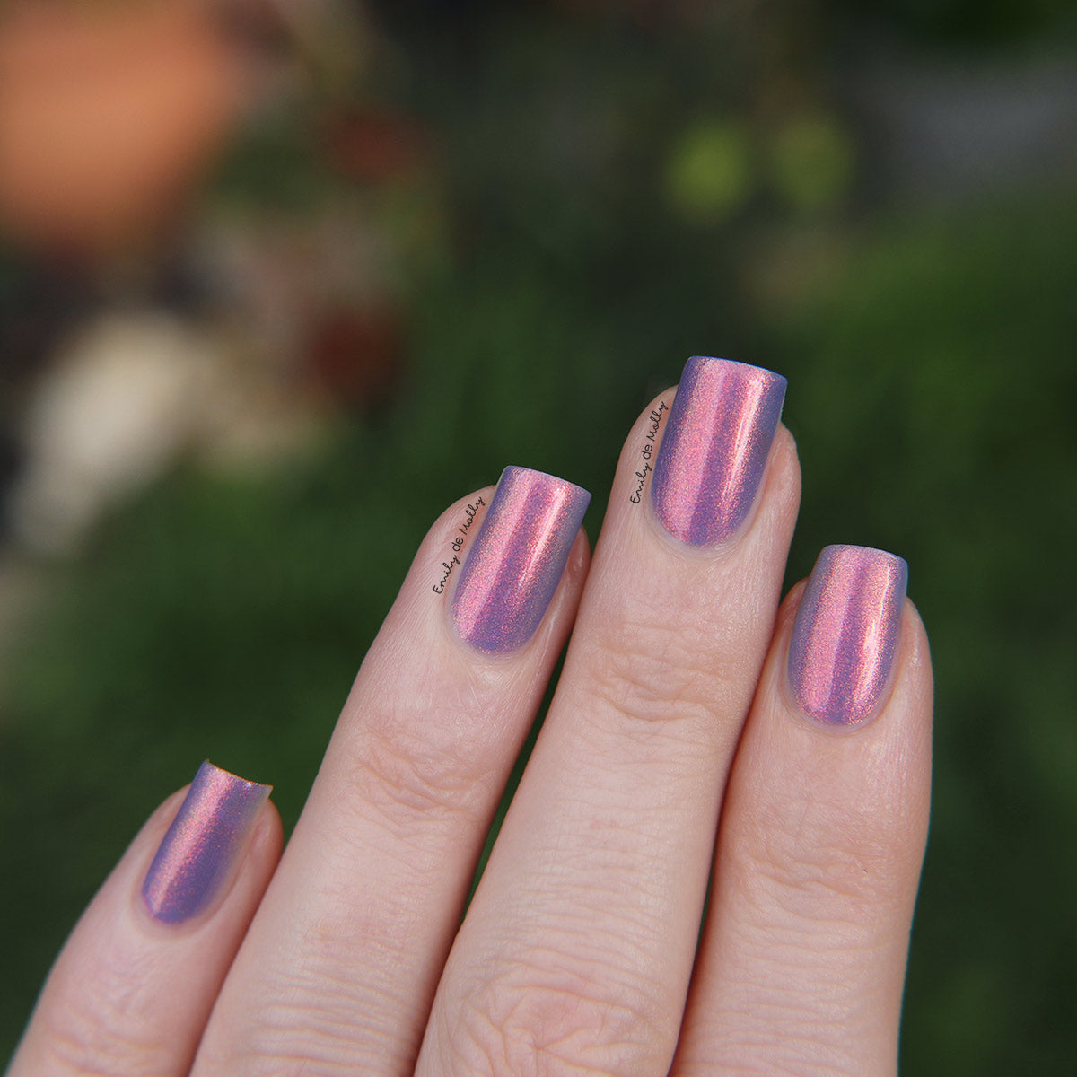 Get In Line image 12