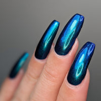 Somebody’s Fool image 1