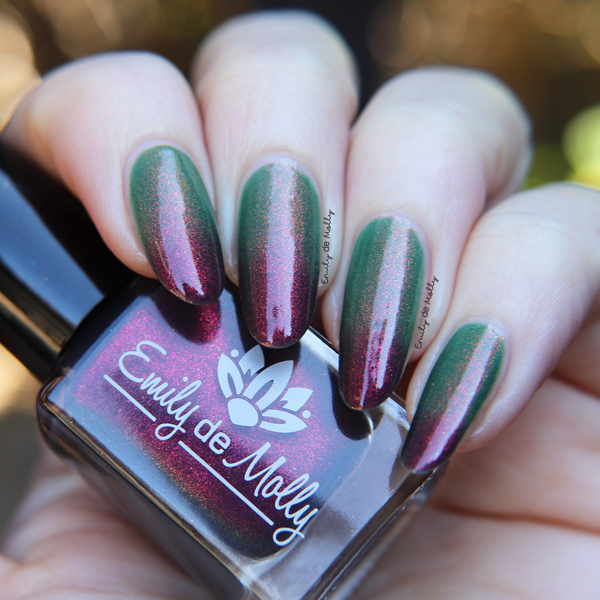 Never Found It image 24