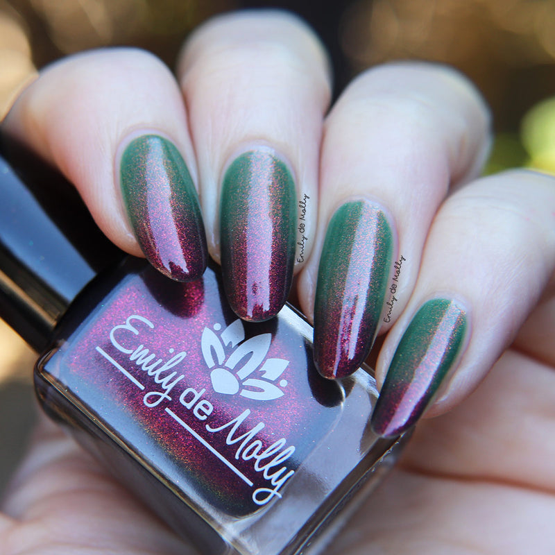 Never Found It image 24