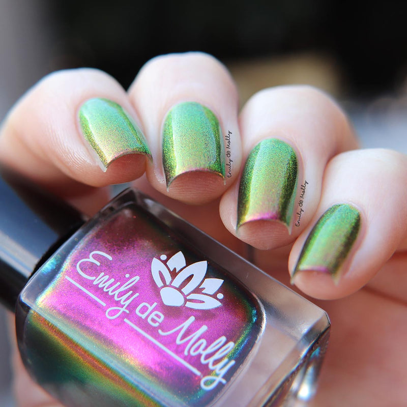 Current Events image 6