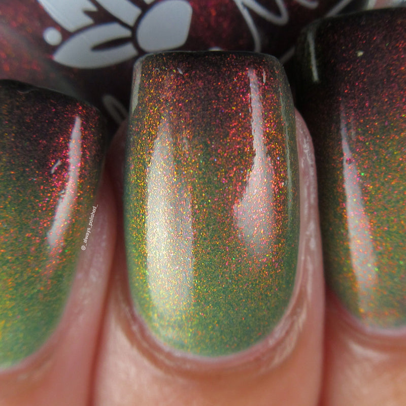 Never Found It image 7