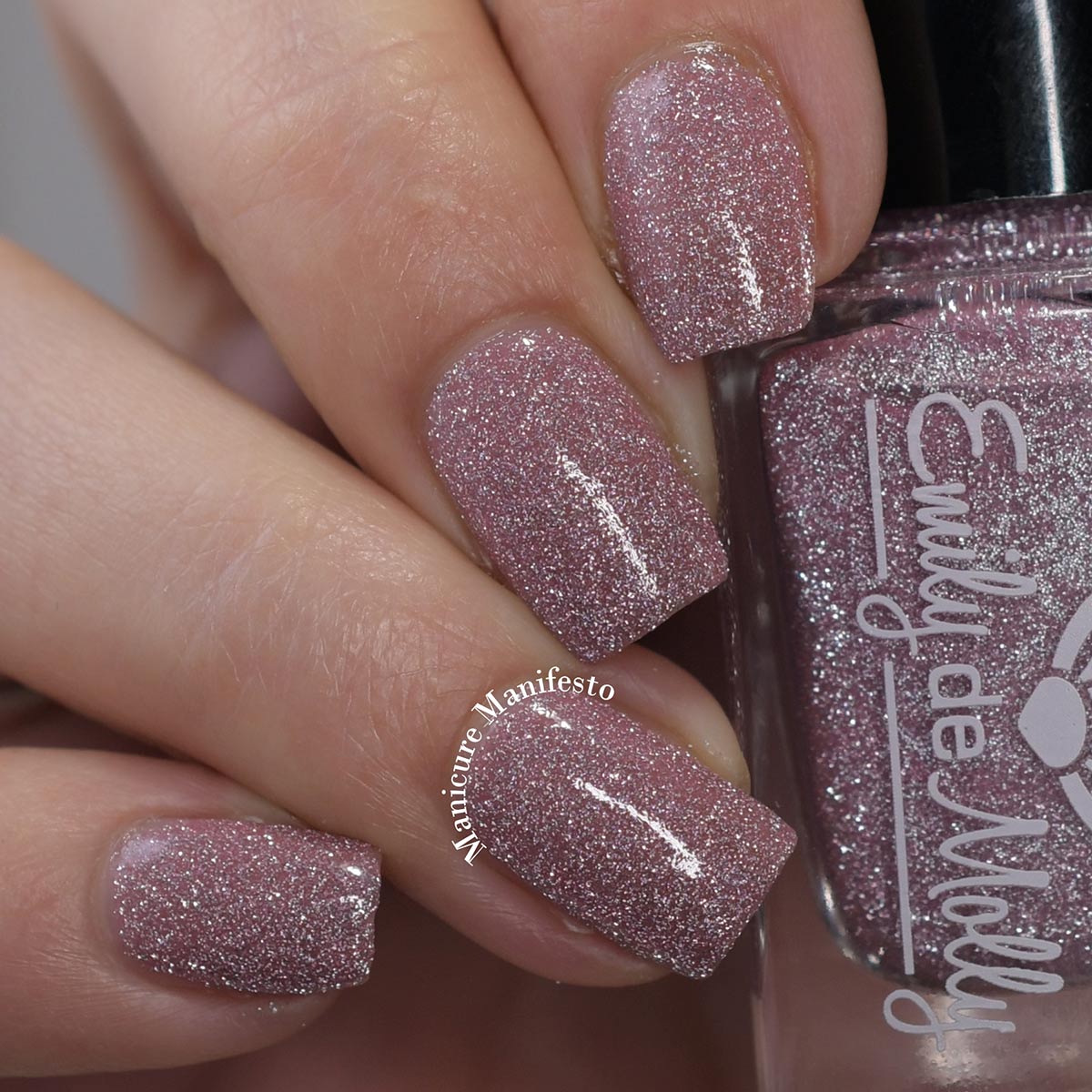 Quiet And Daring image 14