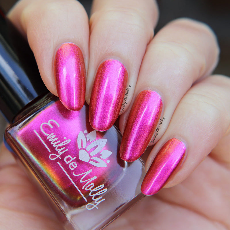 When The Sun Leaves image 8