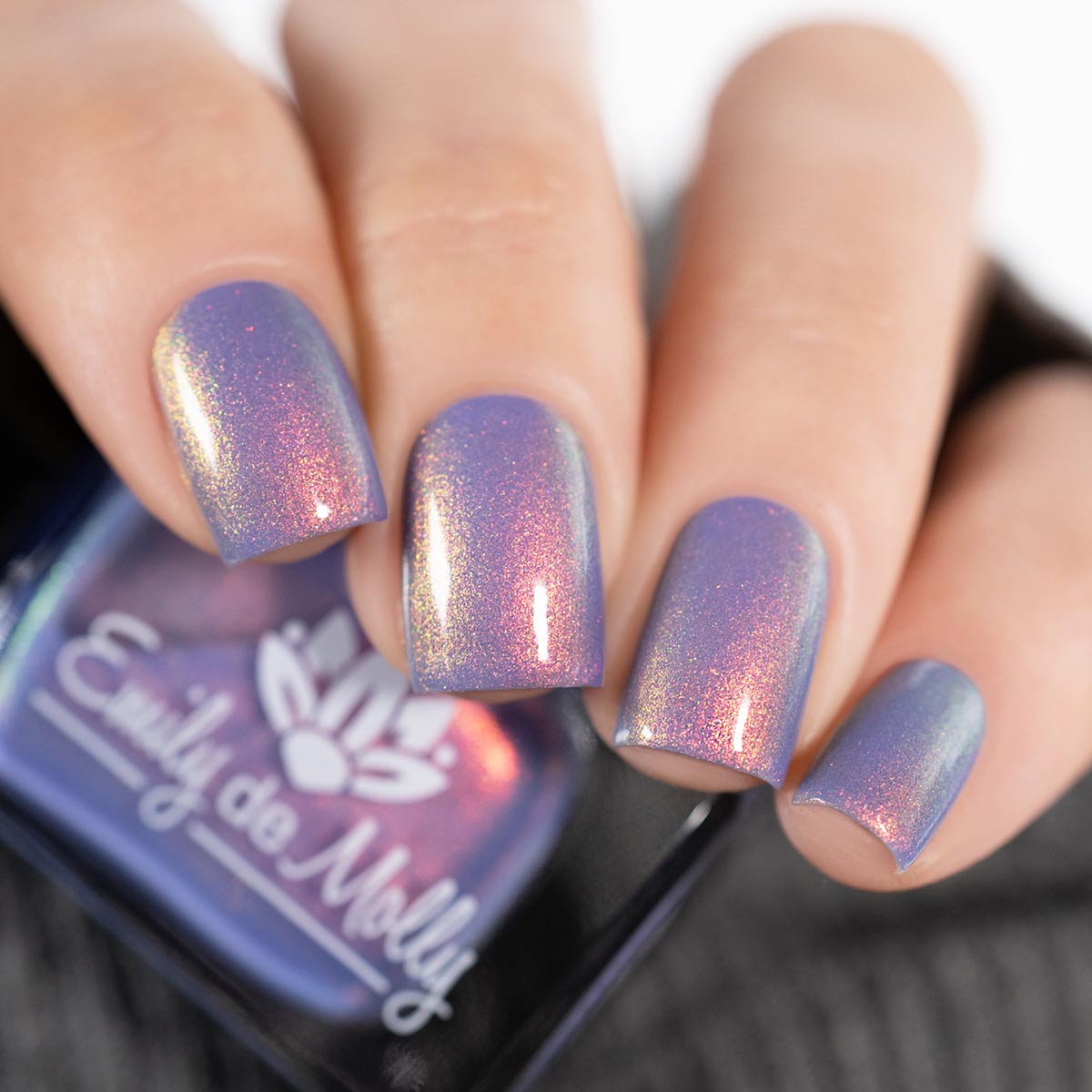 Get In Line image 17