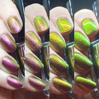 Current Events image 21