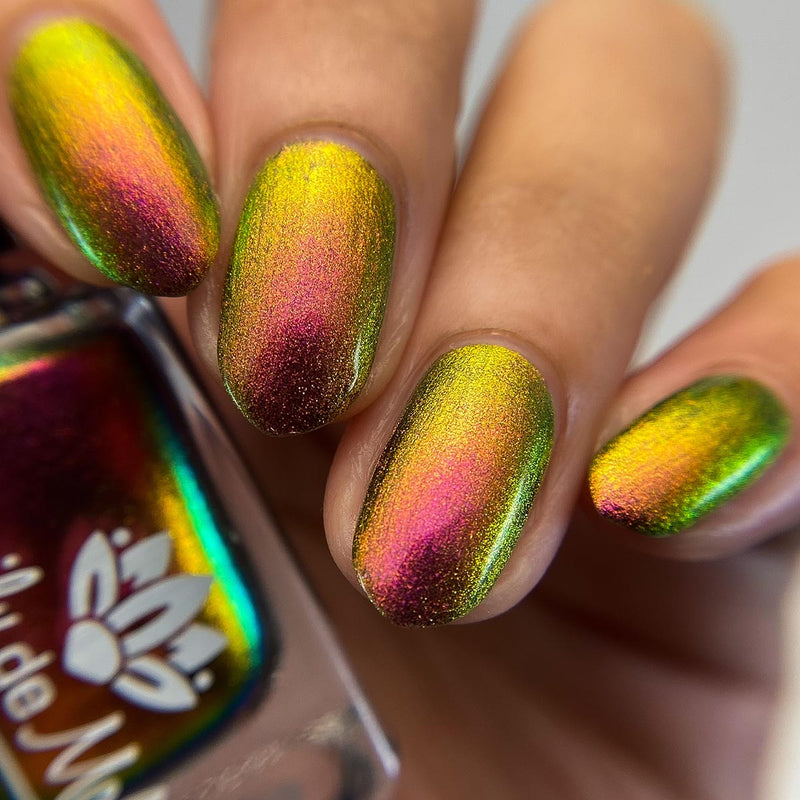 Current Events image 14