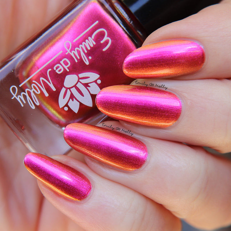 When The Sun Leaves image 9