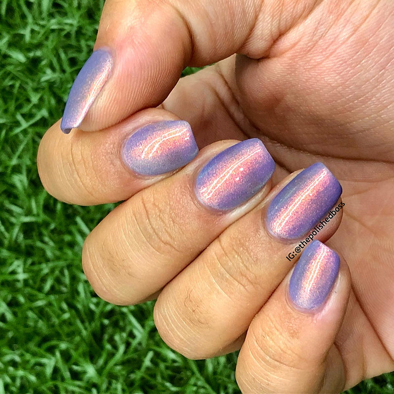 Get In Line image 19