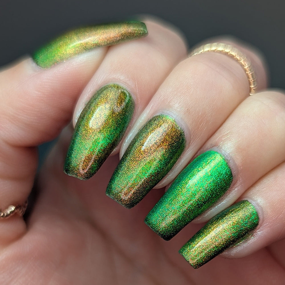 Forest Floor image 21