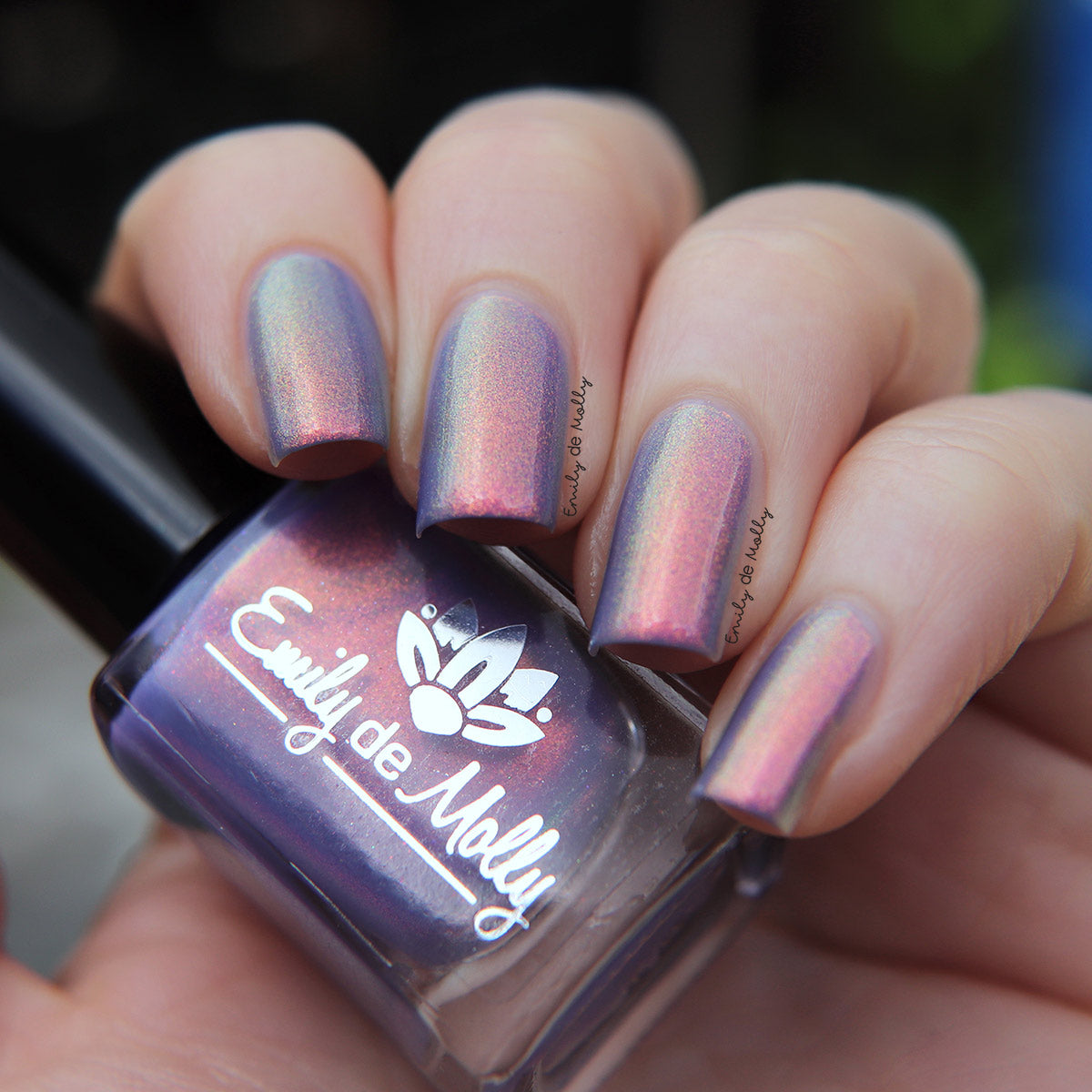 Get In Line image 10