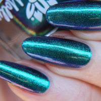 Somebody’s Fool image 20